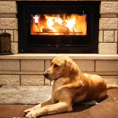 Hotel Melegos Karpenísion